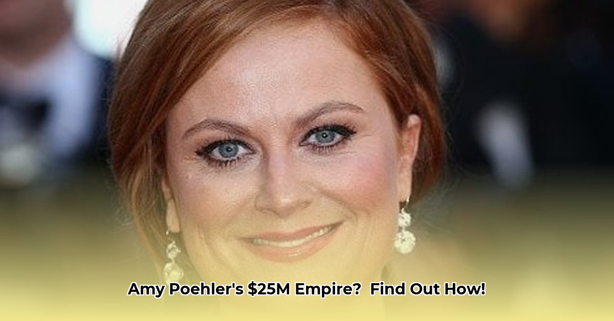 net-worth-amy-poehler